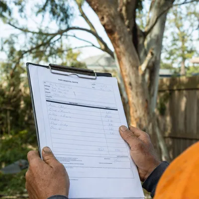 Reading a written tree removal quote on site in Mackay