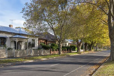 Fast-growing tropicals near homes, Mackay