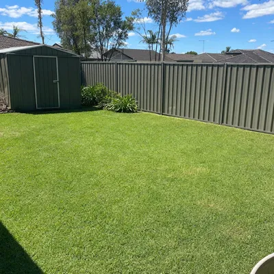 After: Cyclone damage, snapped palms and mango limbs, Mackay