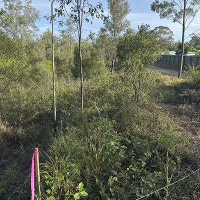 Before: Cleared a building pad on a Rural View block, Mackay