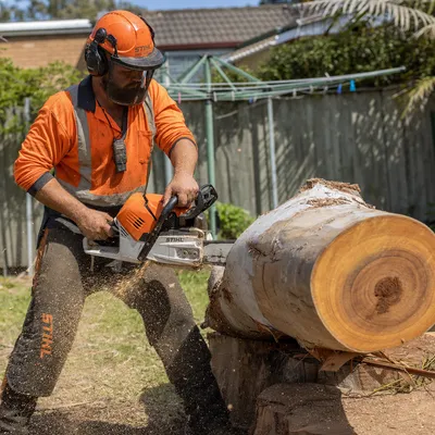 Tree Removal in Mackay. Felling and dismantling of dead, storm-damaged or unwanted palms and tropical trees of any size, including large specimens overhanging homes or near power infrastructure.