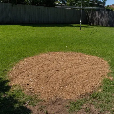 Branch chip stays on site, Mackay